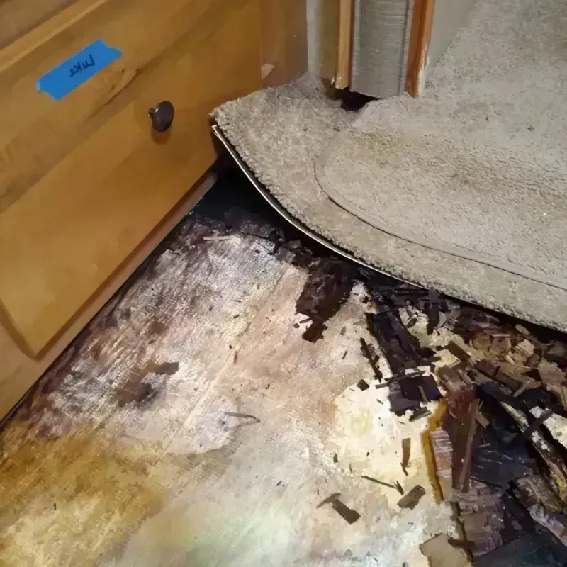 Wood Floor Water Damage in Barrett, TX